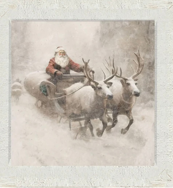 Sleigh ride Santa print