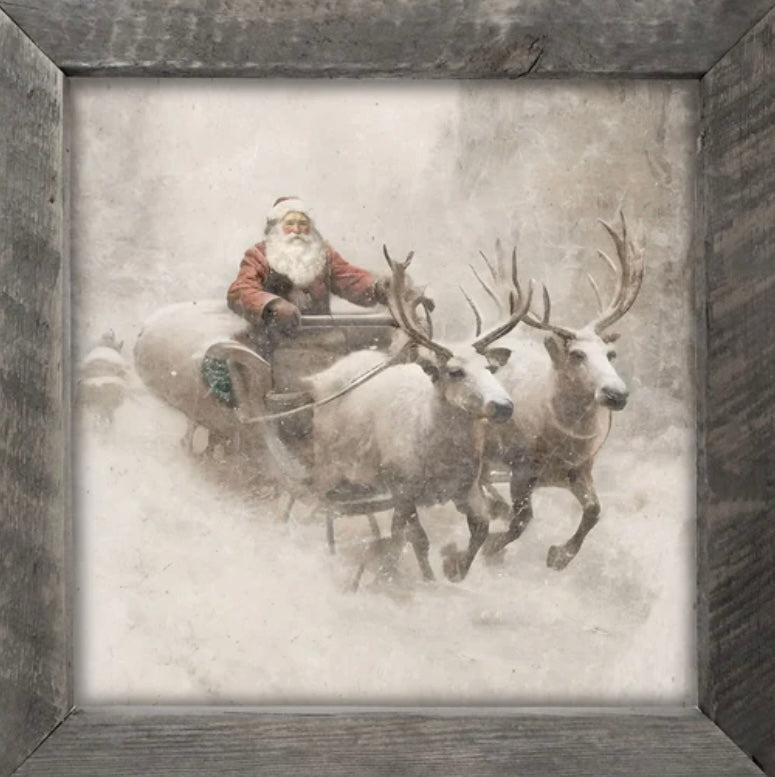 Mini sitter sleigh ride Santa