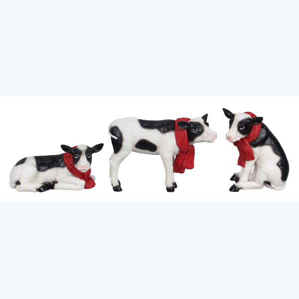 Asst. cows