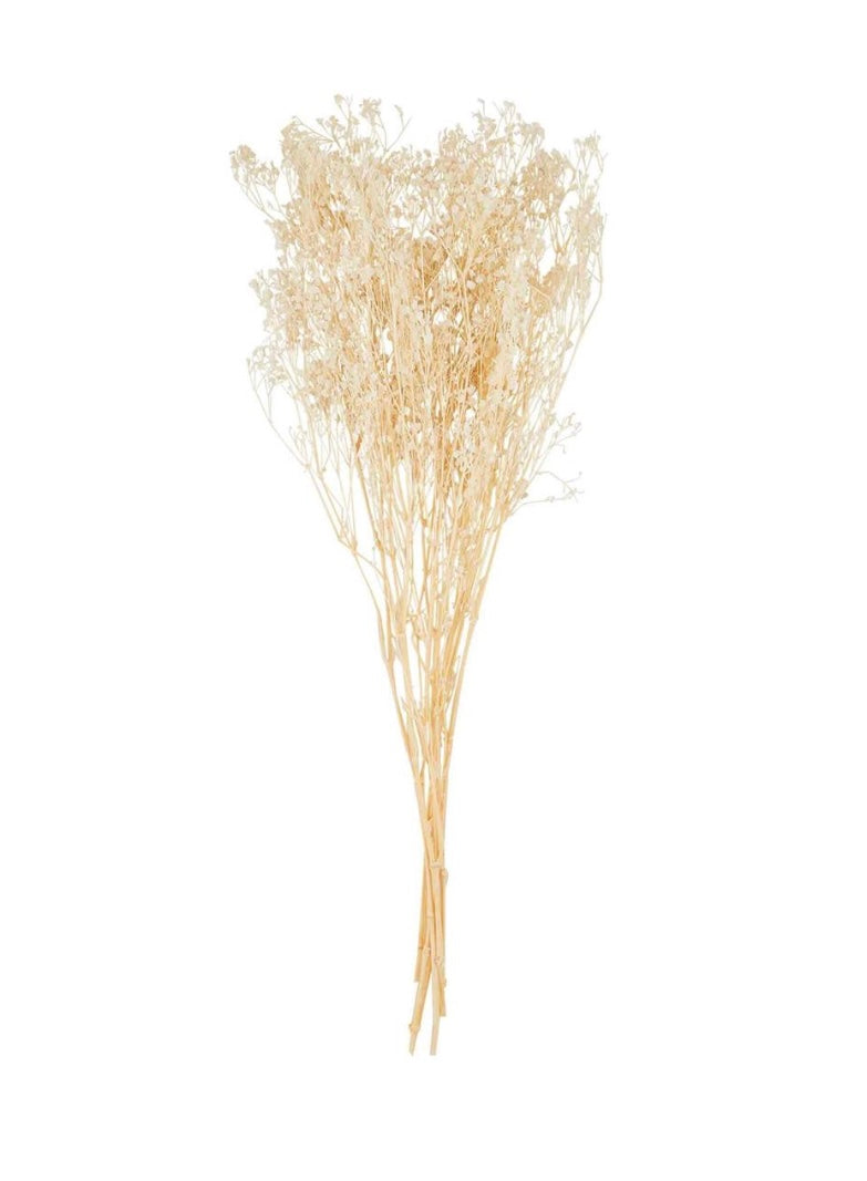 Preserved baby’s breath bundle mud pie