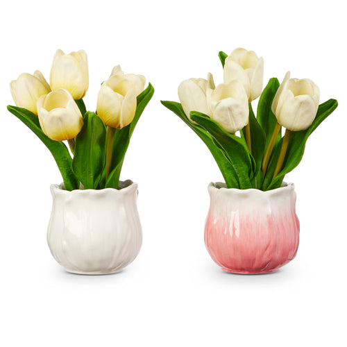 Potted real touch tulip asst.