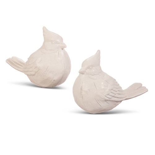 White snow bird
