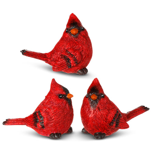 Red cardinal