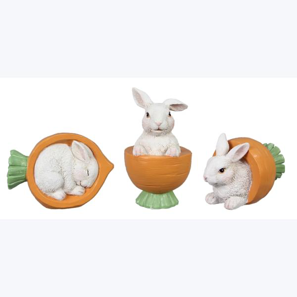 Bunny in carrot