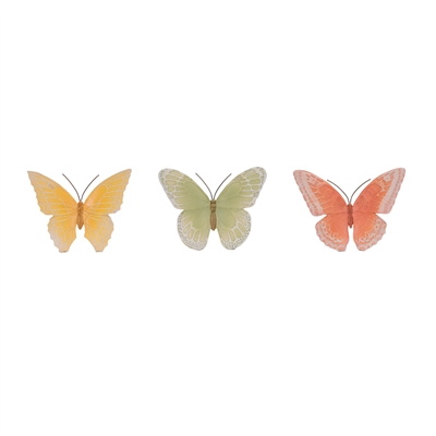 Butterfly asst.