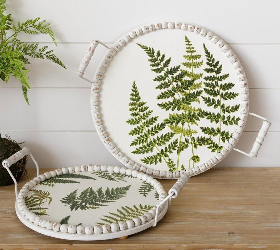 Fern tray asst.
