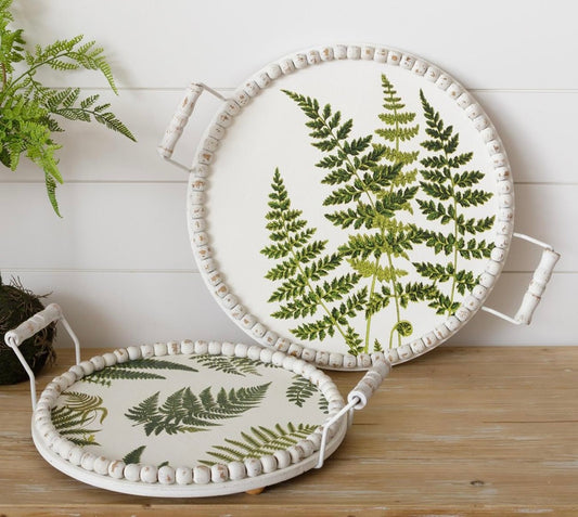 Fern tray asst.