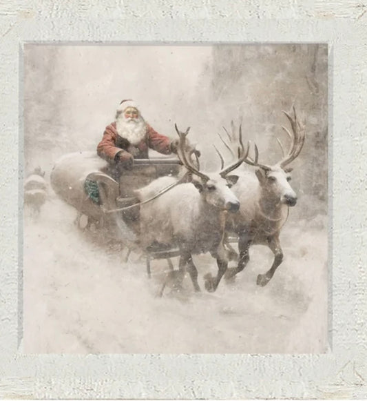 Sleigh ride Santa print