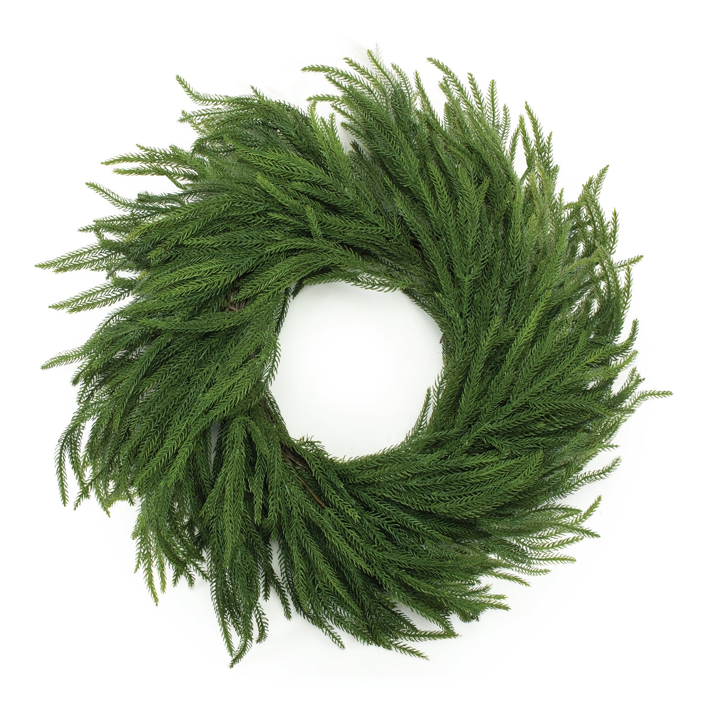 NORFOLK PINE WREATH 27”D