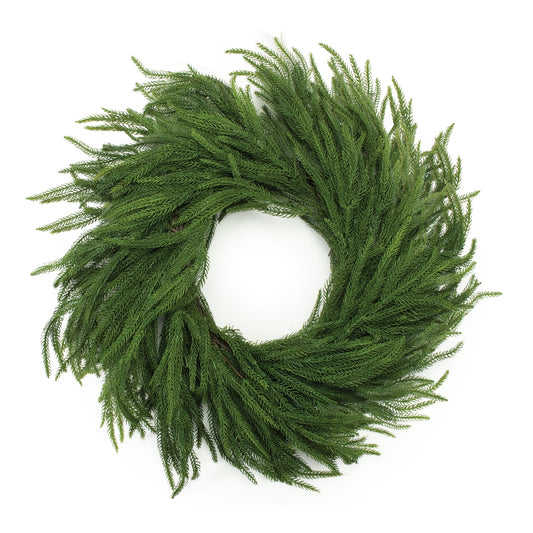 NORFOLK PINE WREATH 27”D