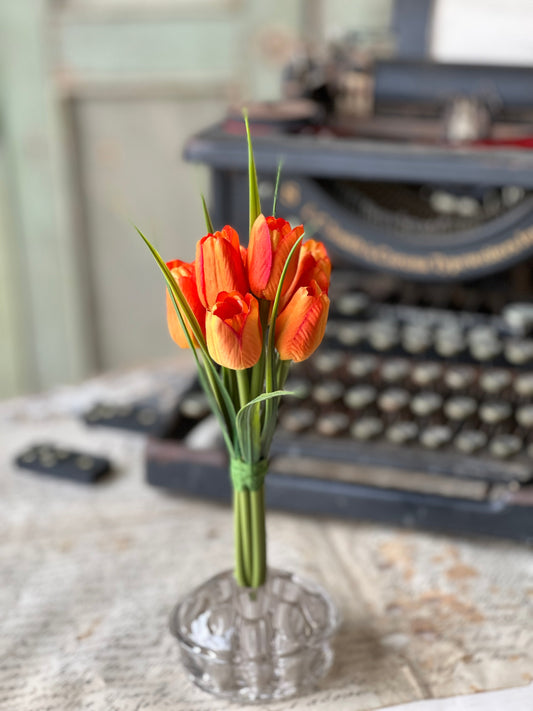 Orange tulip bundle