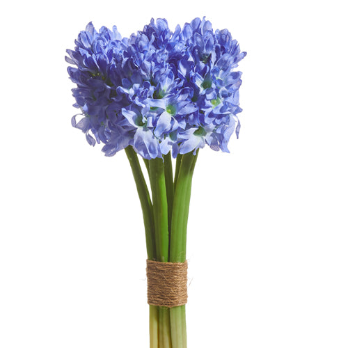 PURPLE HYACINTH BUNDLE