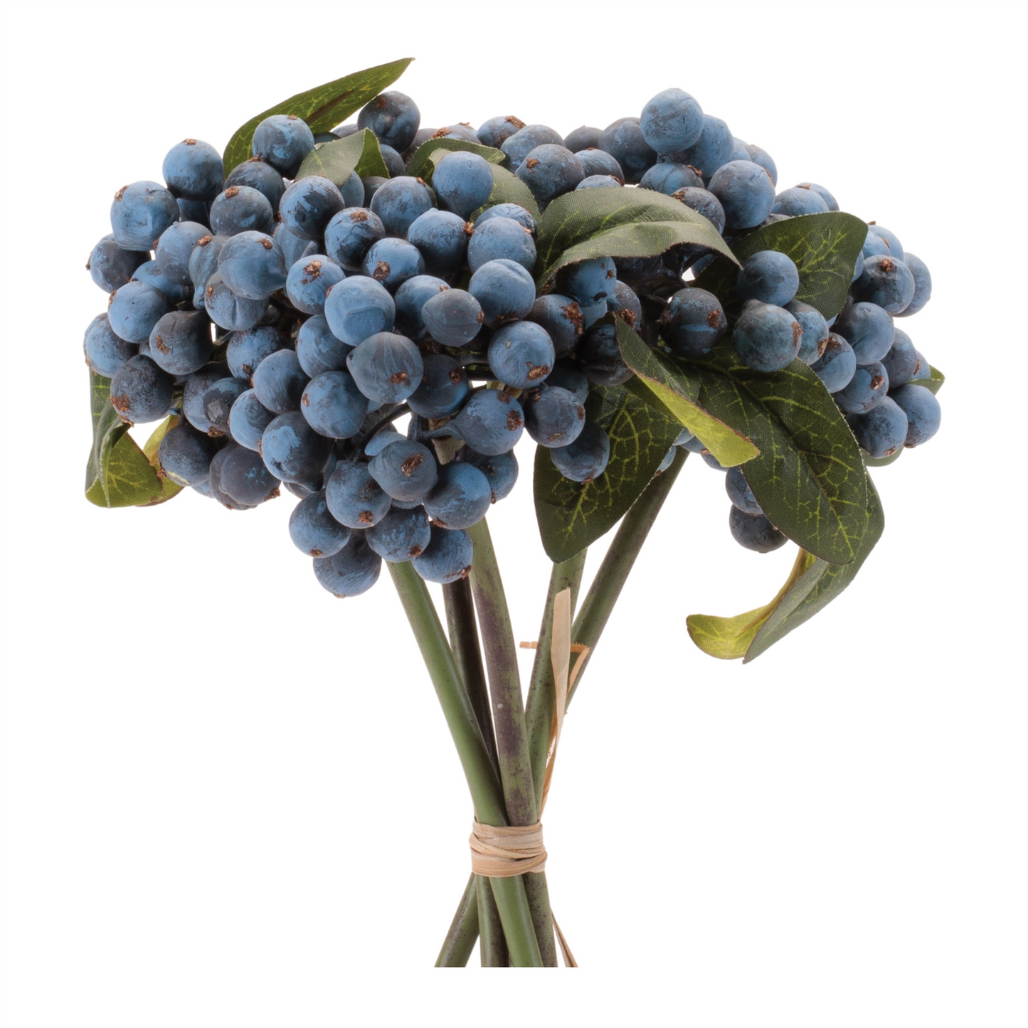 Berry stem bundle