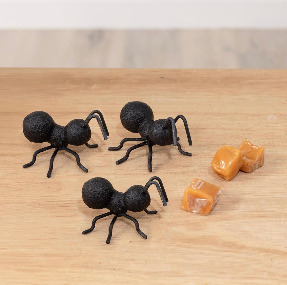 Cast iron ant