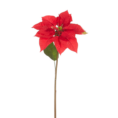 24.5" RED POINSETTIA STEM