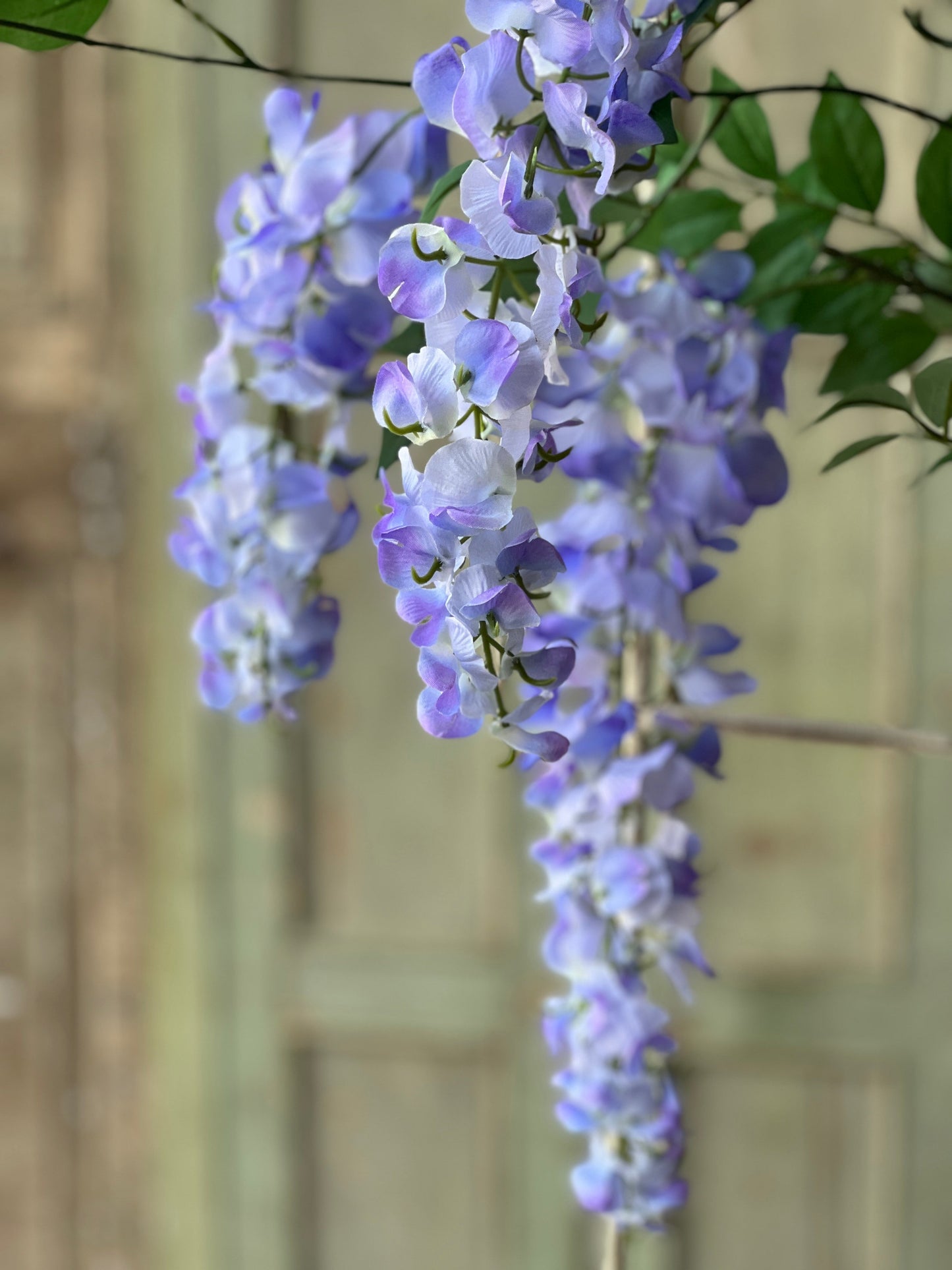 36in waterfall wisteria