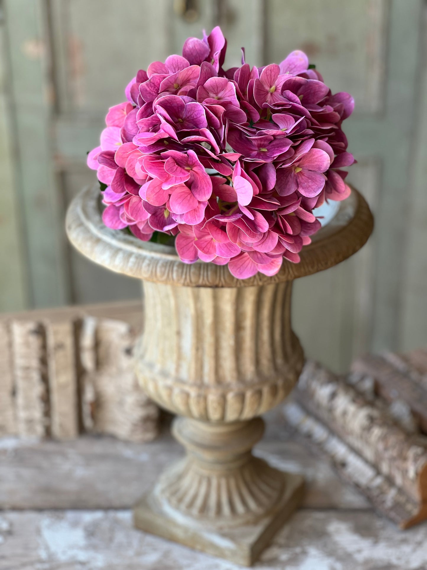 Cameo Hydrangea | 22" |