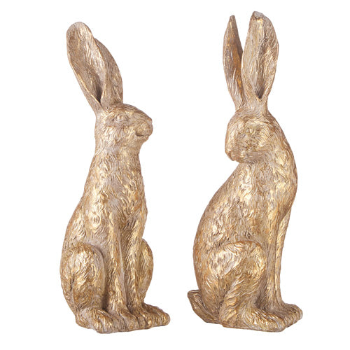 Gold bunny