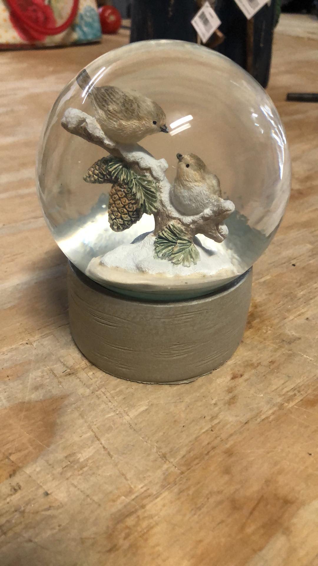 Bird snow globe