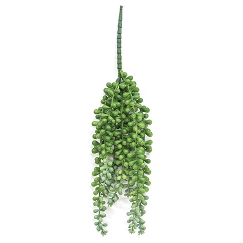String of pearl