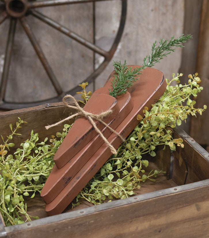3 Set, Chunky Wooden Carrot Bundle