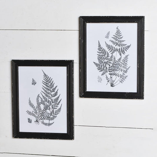 Fern print assorted